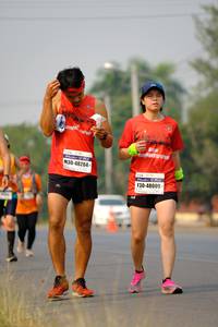 BIB: 48284, 200, 48009
                            <button type="button" onclick="openModal(8872552)" class="btn btn-primary btn-sm float-right btn-popup" data-toggle="modal" data-target=".modal-high-quality">
                        <i class="fas fa-shopping-cart"></i> Add to Cart
                    </button>
                                            <button type="button" onclick="isThisMe(8872552, true)" class="btn btn-success btn-sm float-right btn-popup btn-isme hidden" data-toggle="tooltip" data-placement="bottom" title="นี่คือรูปของคุณใช่ไหม คลิกที่นี่เพื่อเอาเข้าอัลบั้ม">
                        <i class="fas fa-plus"></i> Add to album
                    </button>
                    <button type="button" onclick="isThisMe(8872552, false)" class="btn btn-warning btn-sm float-right btn-popup btn-isnotme hidden">
                        <i class="fas fa-ban"></i> Remove from album
                    </button>